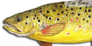 Cart Fish